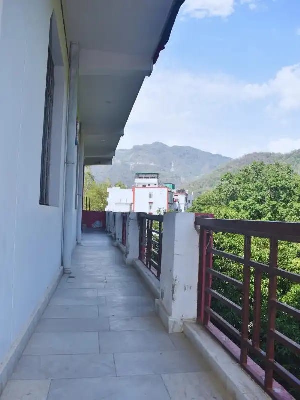 view